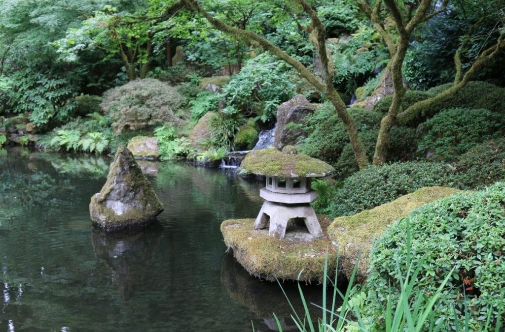 Creating a Japanese Garden